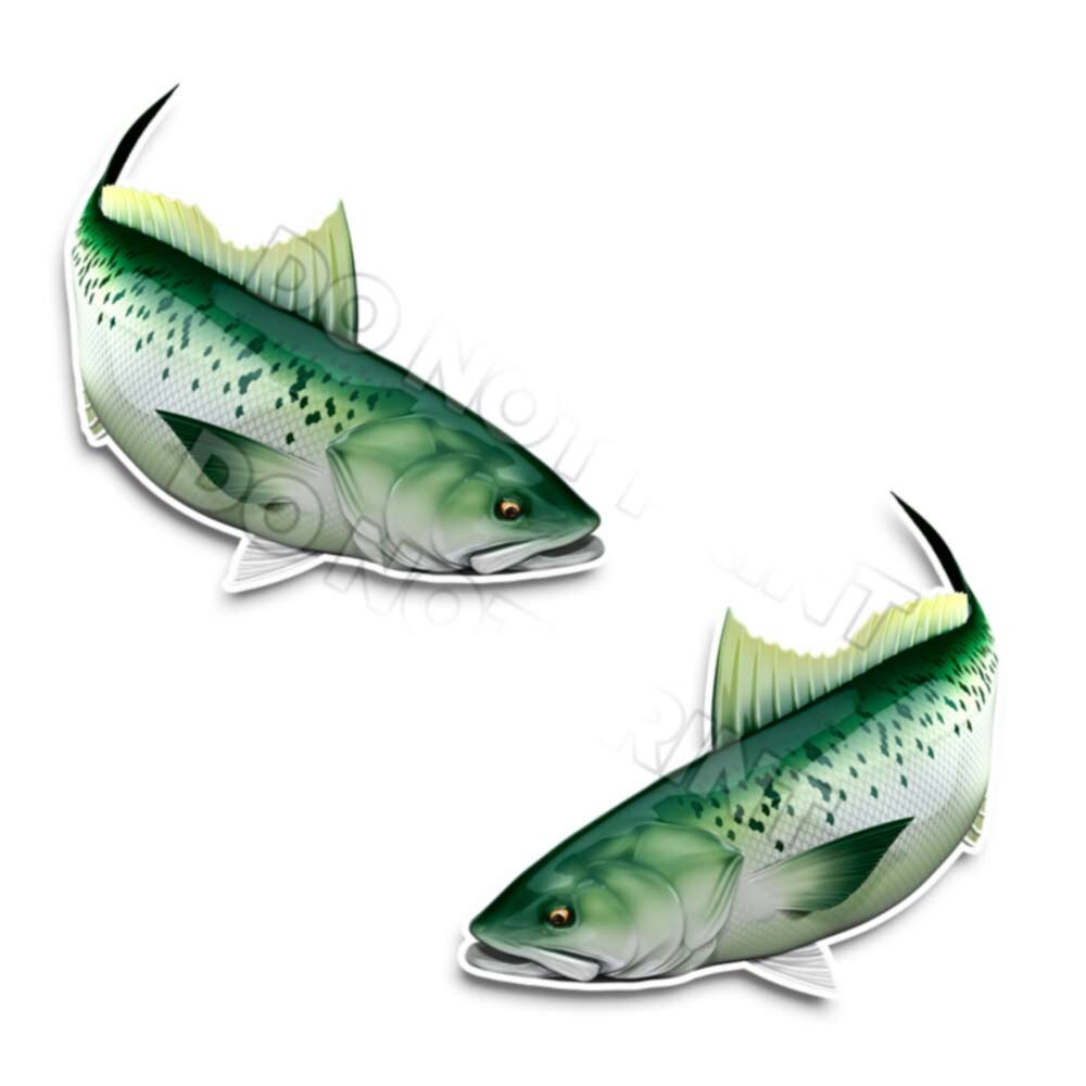 Kahawai Australian Salmon Fishing Decals Fish Stickers Arripis Trutta AFP-0184