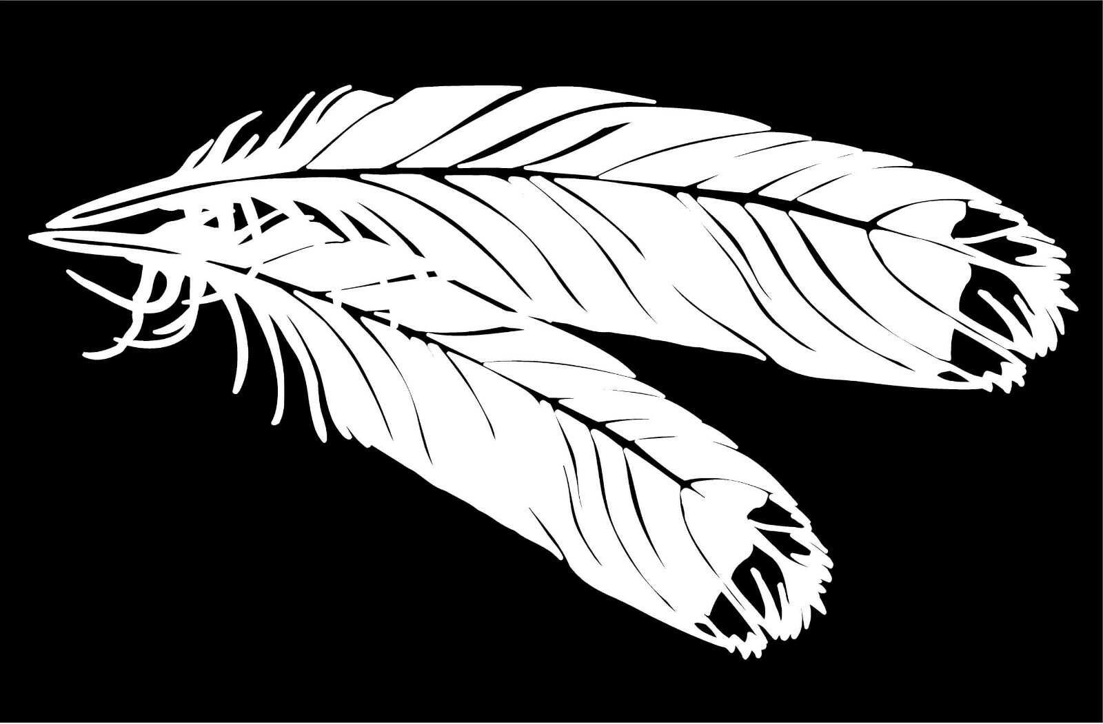 Feathers Decal vinyl bird avian feather car truck window wall sticker graphic