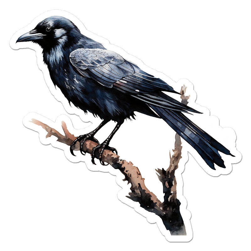 Crow Raven Blackbird , Vinyl Decal Sticker, Indoor Outdoor, 3 Sizes, #11601