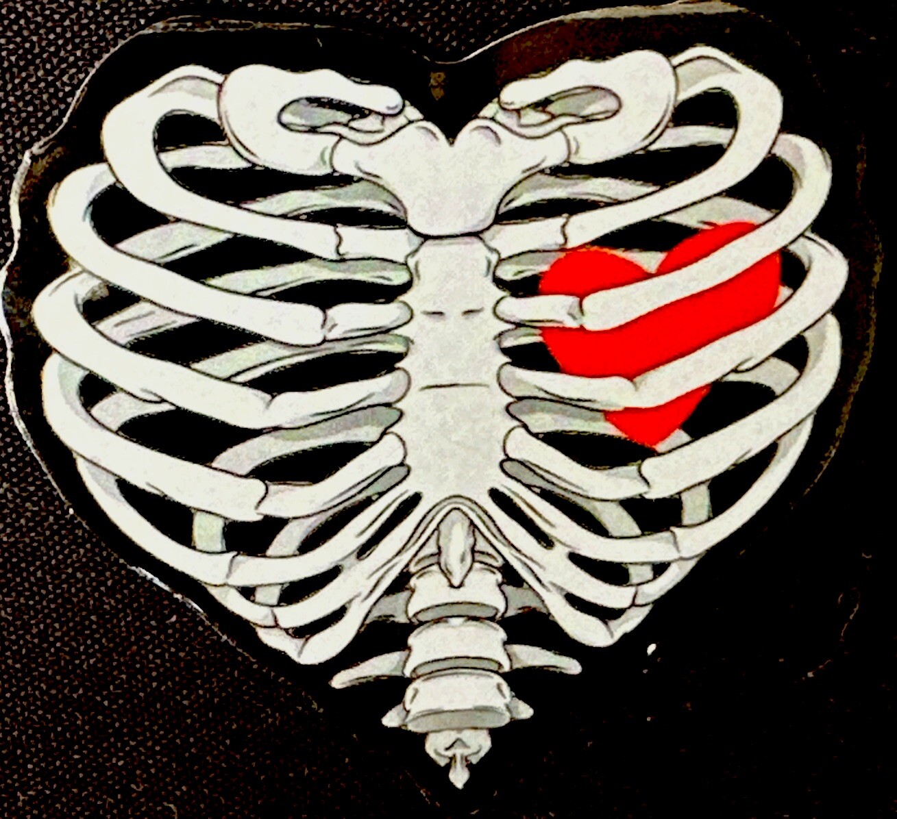SKELETON HEART STICKER✨🖤☠️🖤✨2 1/2” X 2 1/2”✨GLOSSY✨LOVE IS IN THE AIR❤️✨