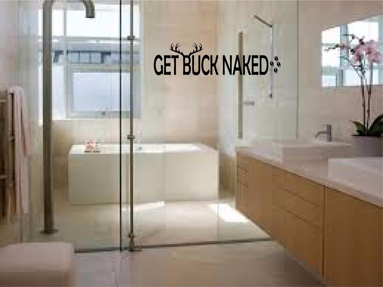 GET NAKED bathroom shower wall vinyl sticker 3 styles multiple colors removable