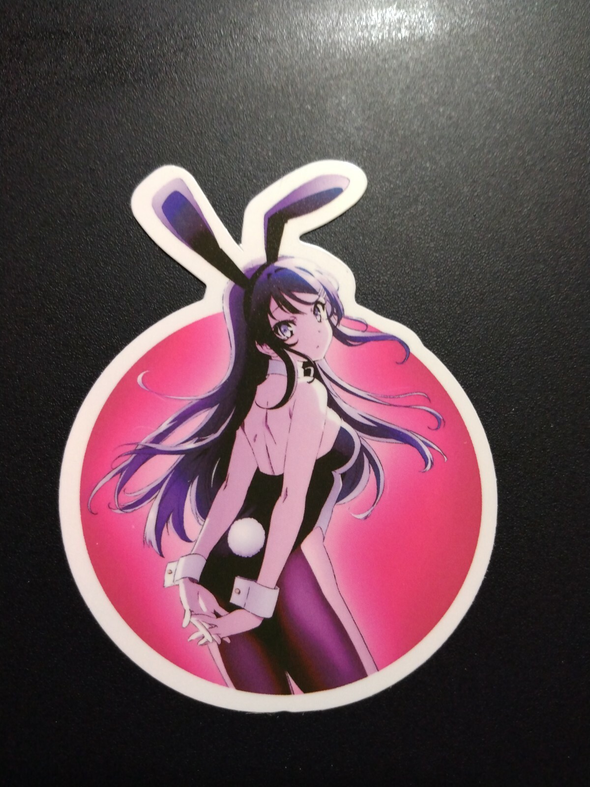 Anime Waifu Vinyl For Laptop, Phone, or Decal ~(2"X2.5")