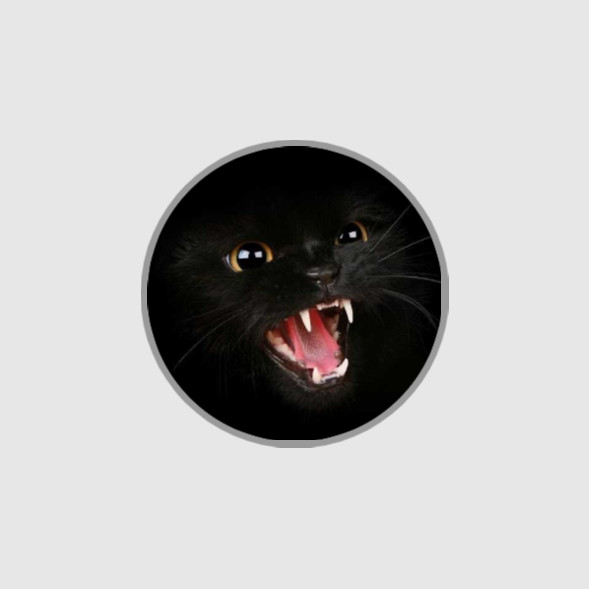 Angry Basement Cat – Vinyl Waterproof Stickers 3"