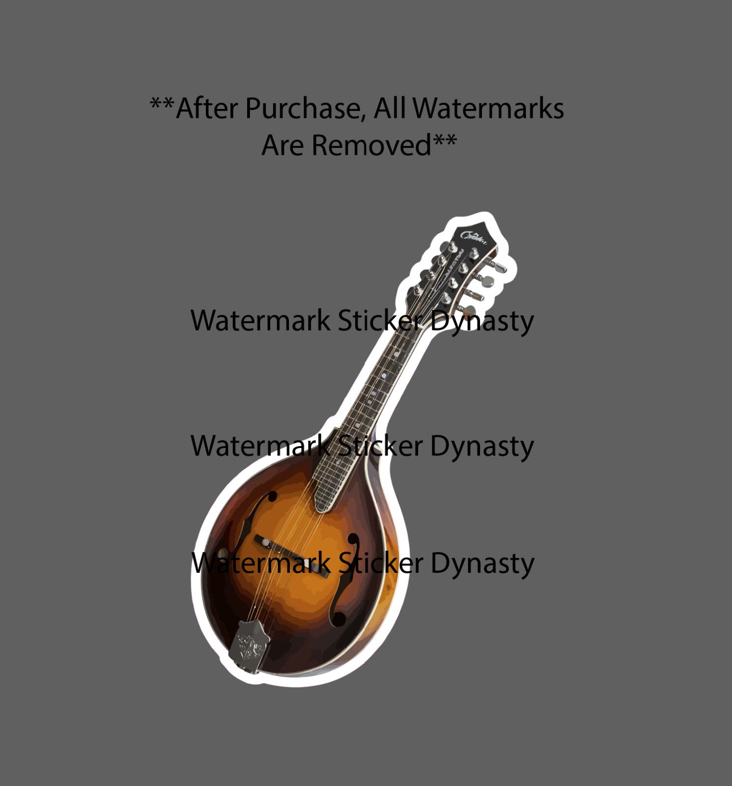 Mandolin Sticker Waterproof Decal Music Band Instrument Gift NEW