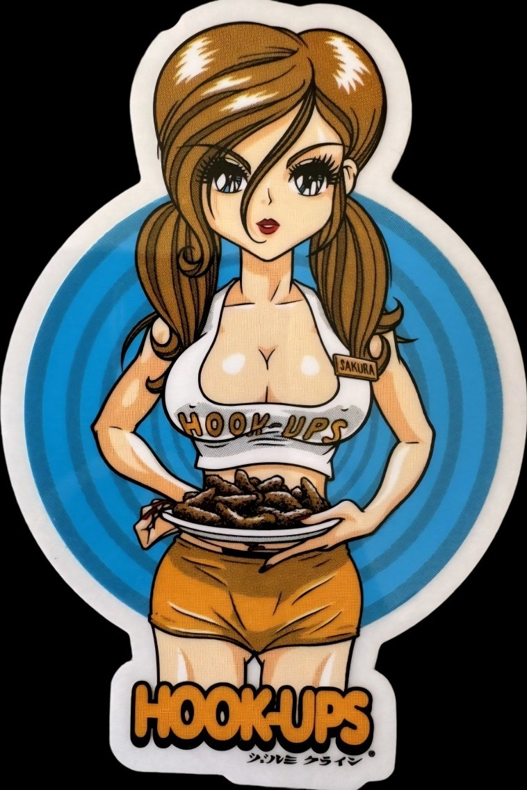 Hookups Die Cut Stickers 3" Vertical Gloss Skateboard Water Bottle Laptop Etc