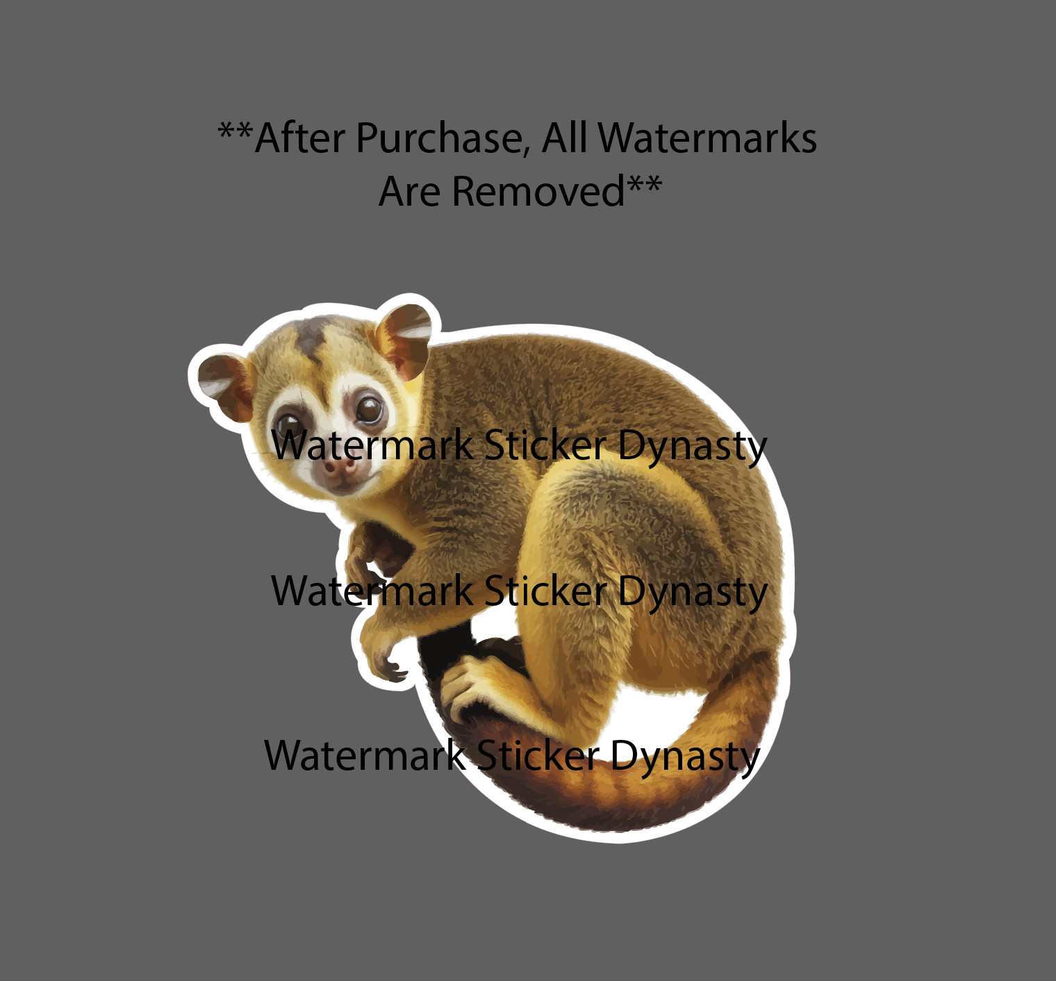 Kinkajou Sticker Waterproof Decal Animal Wildlife Outdoor Nature Gift NEW