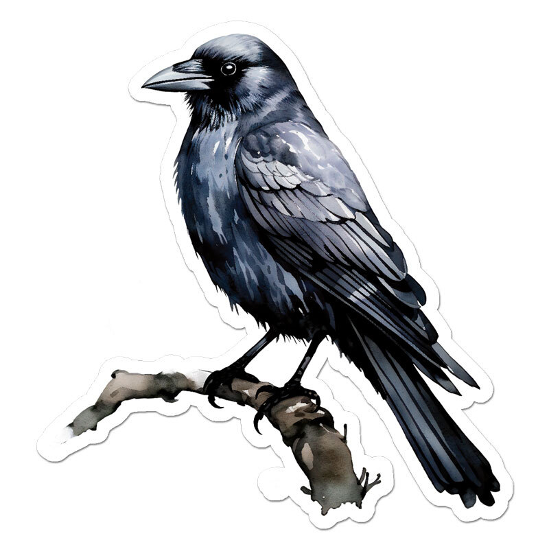 Crow Blackbird Raven, Vinyl Decal Sticker, Indoor Outdoor, 3 Sizes, #11599