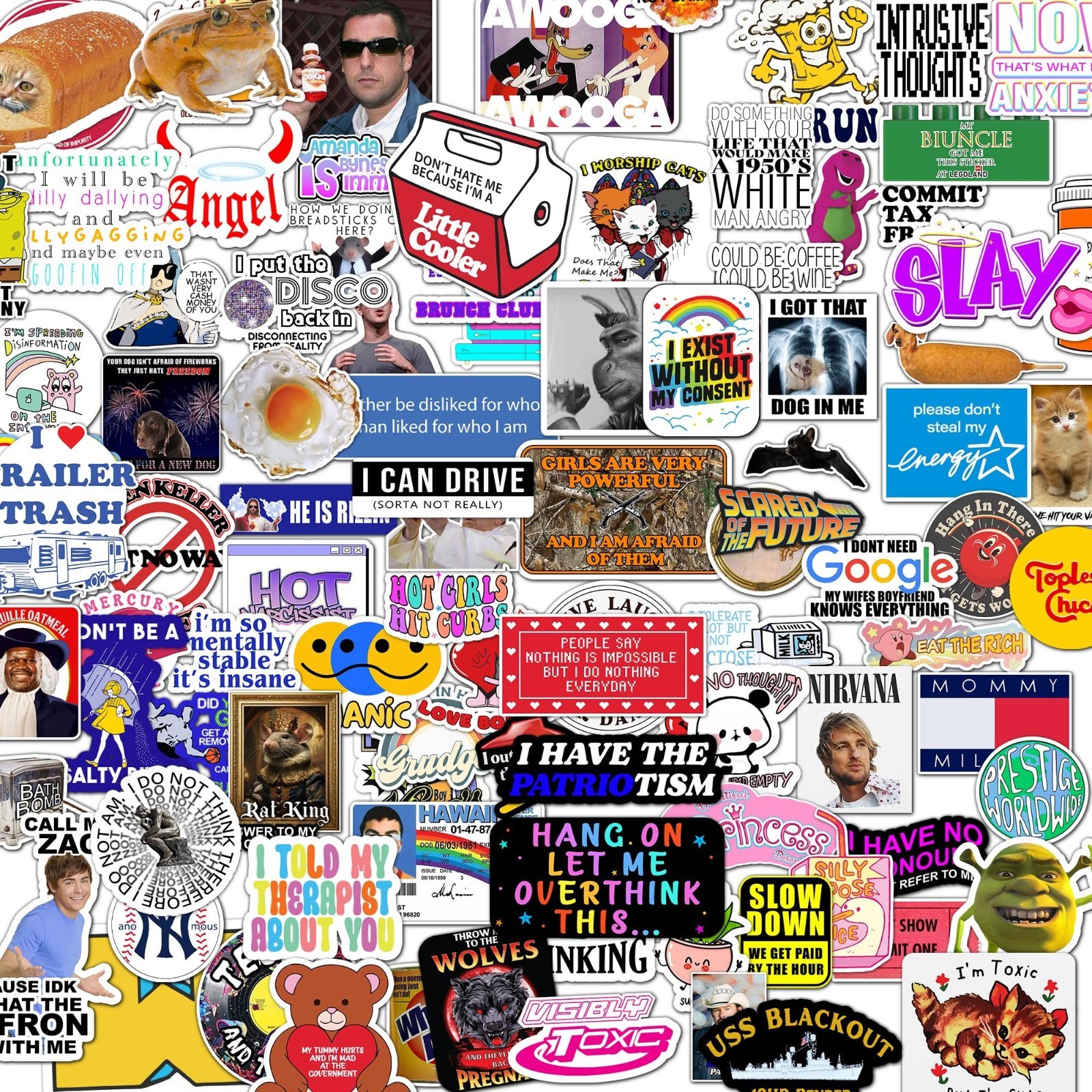 100pcs Funny Viral Stickers for Teens & Adults – Laptop, Water Bottle, Gift Idea