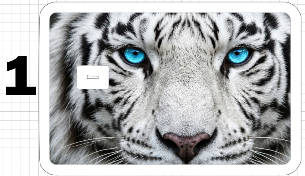 Tiger Face ATM Debit Credit Gift Card Sticker Skin Rainbow Cat White Bengal Eyes