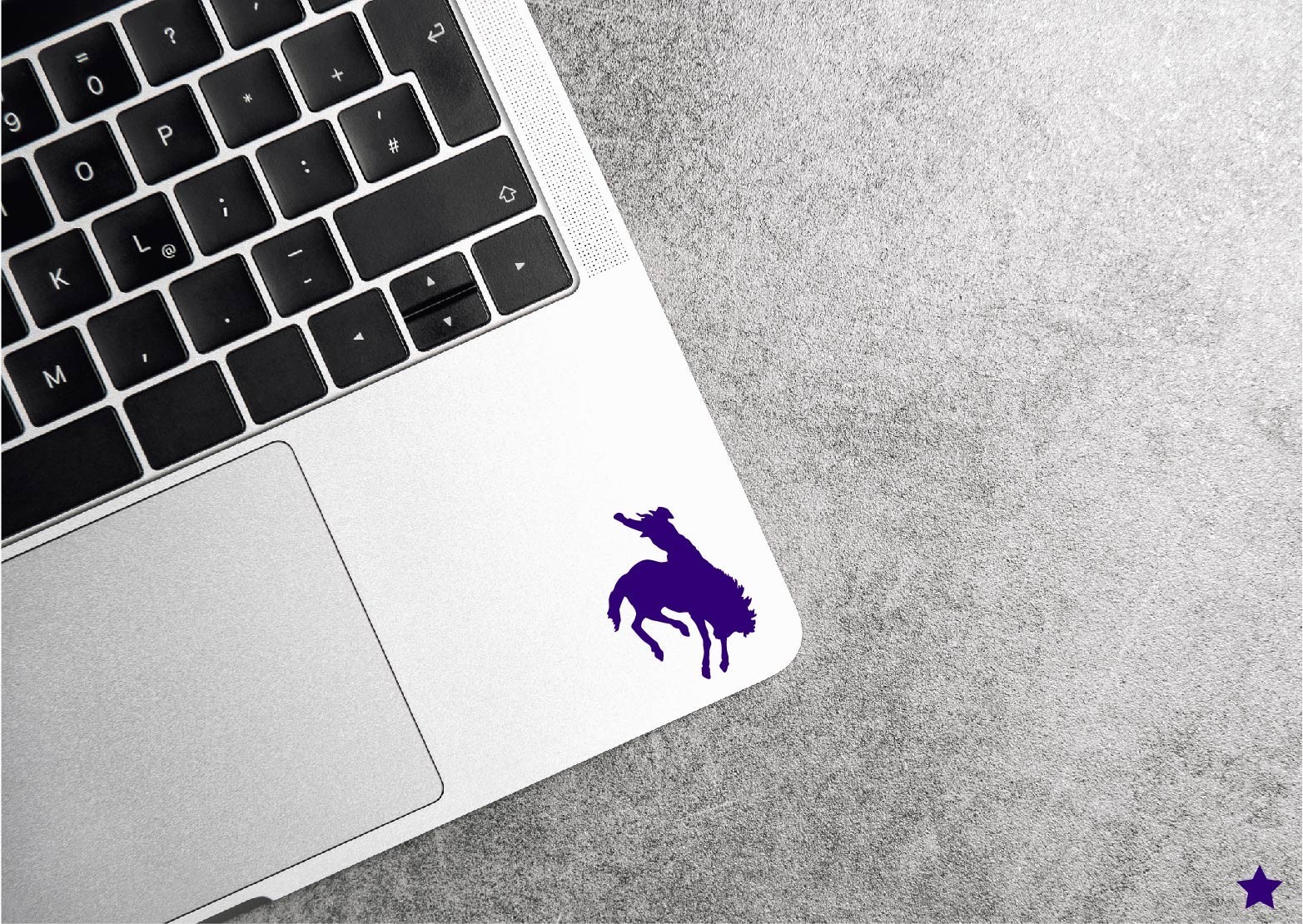 Rodeo Decal Horse Cowboy Bucking Bronco Riding Sticker Western Life Ranch Farm