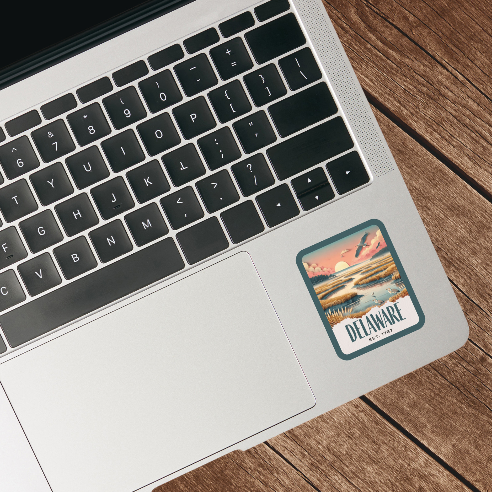 Delaware State Sticker, Paper Collage Look, Scenic National Wildlife Area Decal