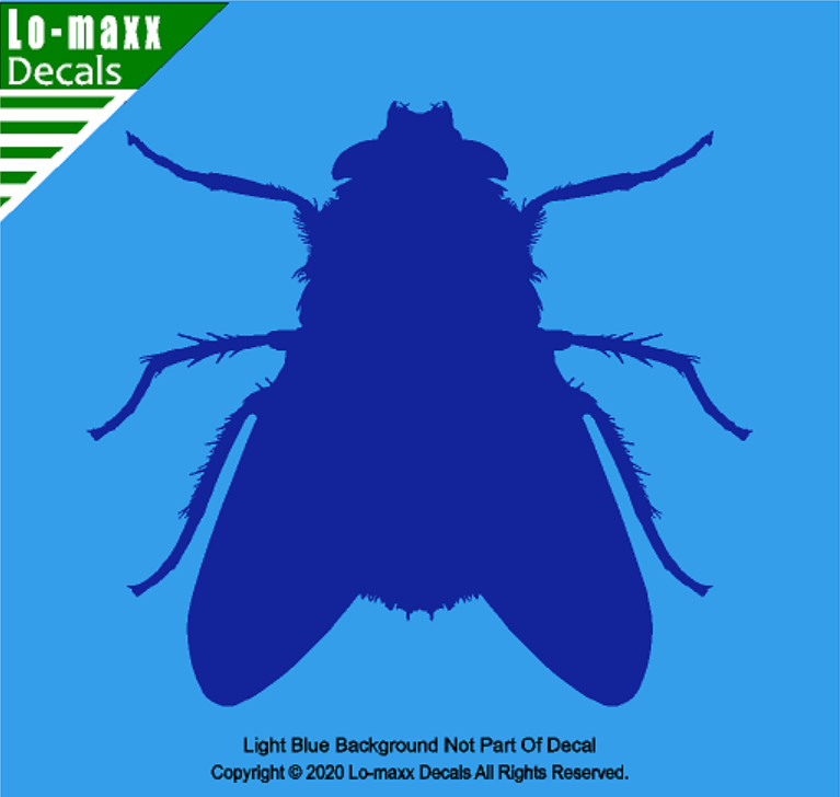 Fly Housefly Original Custom Graphic Art Superior Quality Die Cut Vinyl Decal