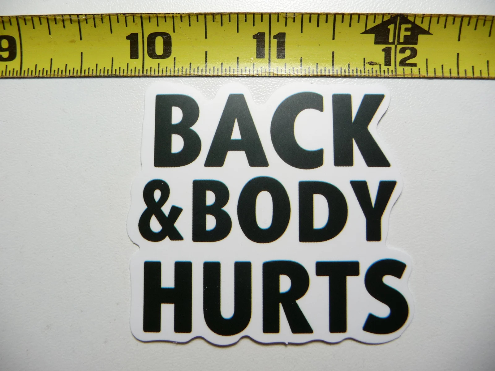 BACK AND BODY HURTS SMALL STICKER DECAL FUNNY SNARKY SARCASTIC SARCASM