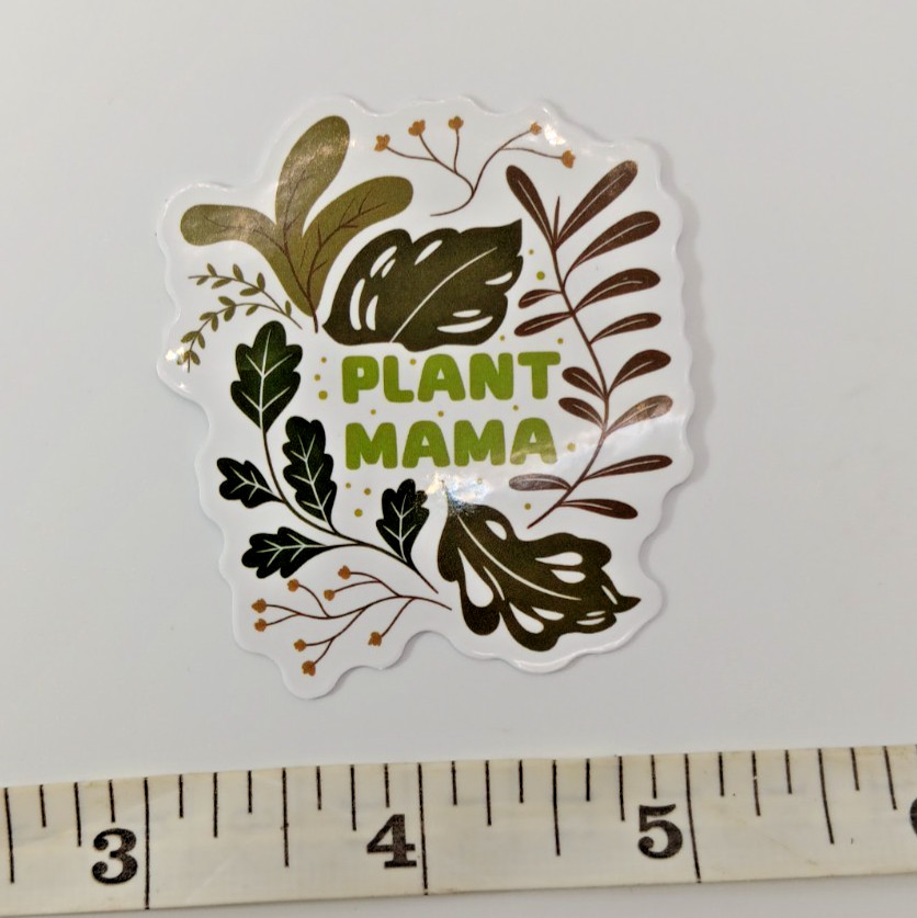 Plants-Succulent-Funny Humor Sarcastic Vinyl Sticker-Decal-NWOT-Free Shipping!