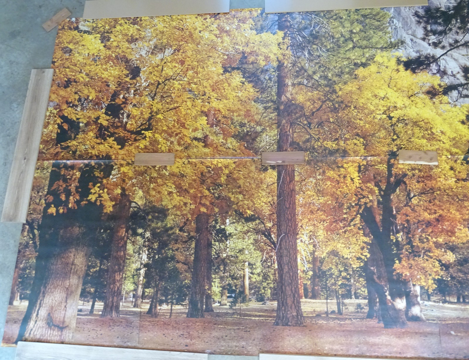 Full Wall Photo Mural Autumn Yosemite National Park Josef Muench 8’ 8” x 12’ 6”
