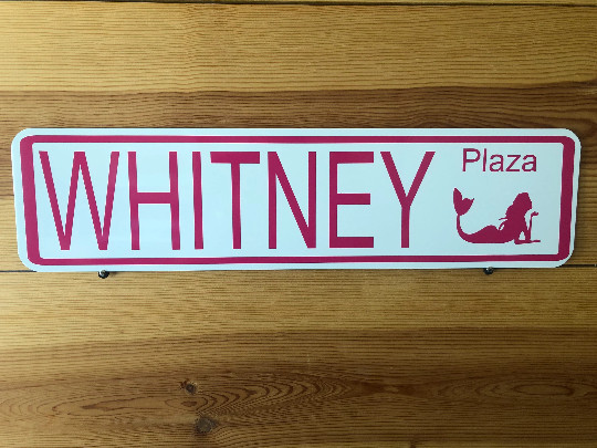 Custom Steel 6"X24" Street Sign with Icon, Your Choice Background