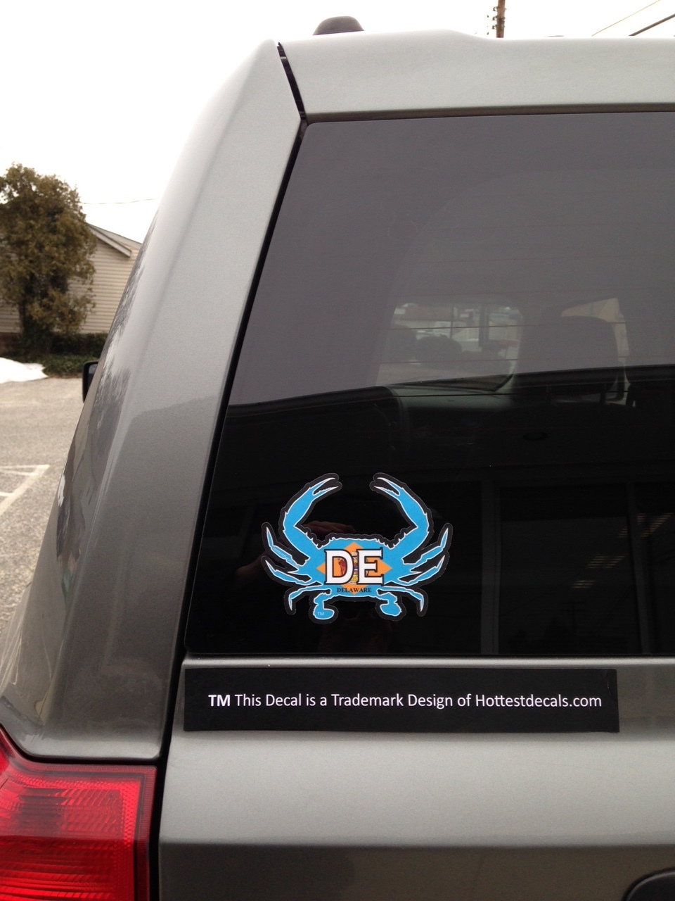 DELAWARE BLUE CRAB DECAL Delaware State Flag Sticker Cars Trucks RIVER BAY CRAB
