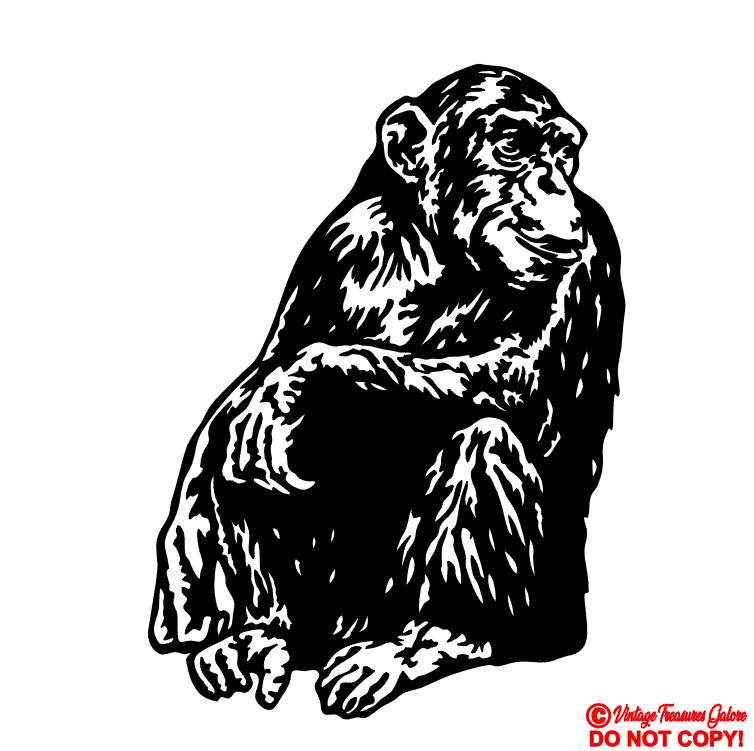 CHIMPANZEE VINYL DECAL CAR WINDOW WALL BUMPER STICKER MONKEY GREAT APE AFRICA