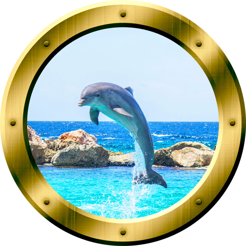VWAQ 1 X Dolphin Porthole Porpoise Wall Decal 3D Sticker Dolphins Wall Art GP30