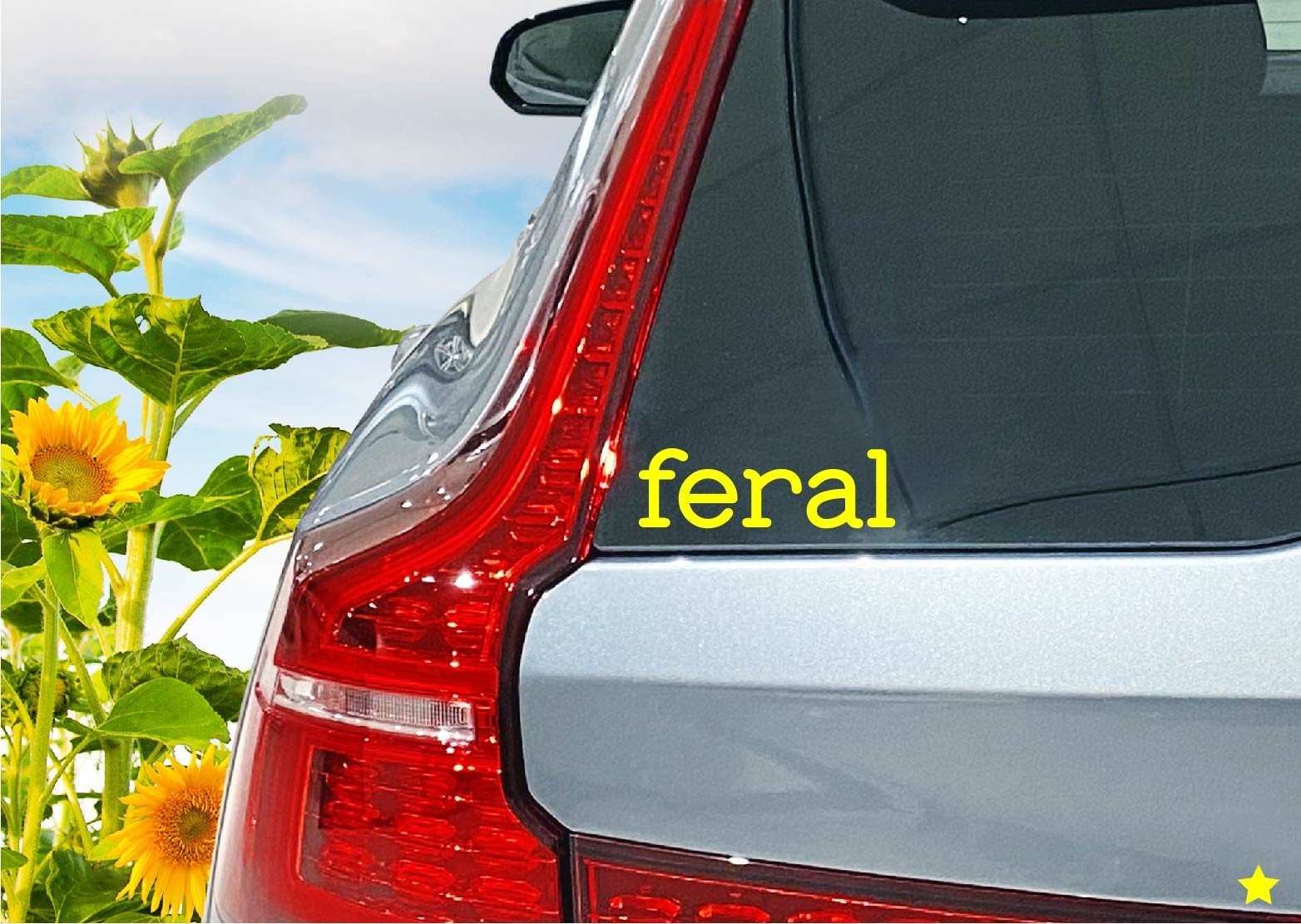 Feral Decal Sticker Funny Out of Control Wild Adult Life Crazy Goth Emo Kid Teen
