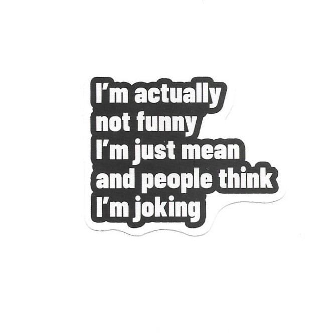 I'm Not Funny I'm Just Mean Vinyl Sticker Funny Sarcastic Quote Laptop Mug Case