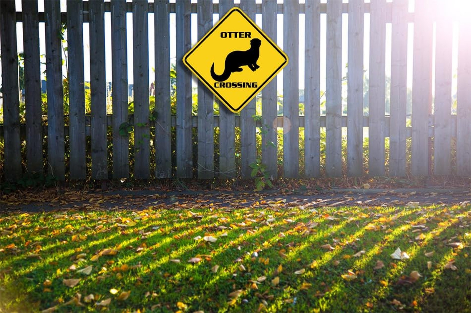 Otter Crossing Warning Sign Otter Animal Caution Yellow Wall Art Decorative D…