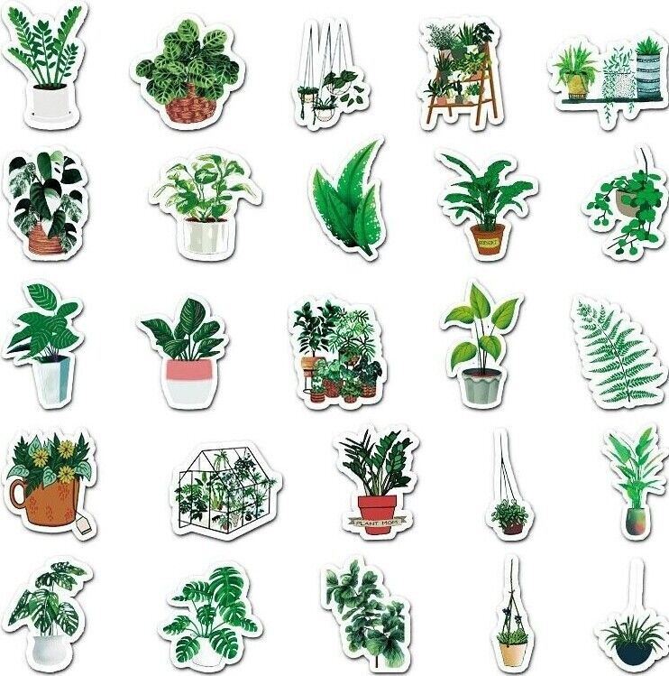 Plant VINYL Stickers [C] Potted HOUSEPLANTS House Succulent ~ Waterproof Decals