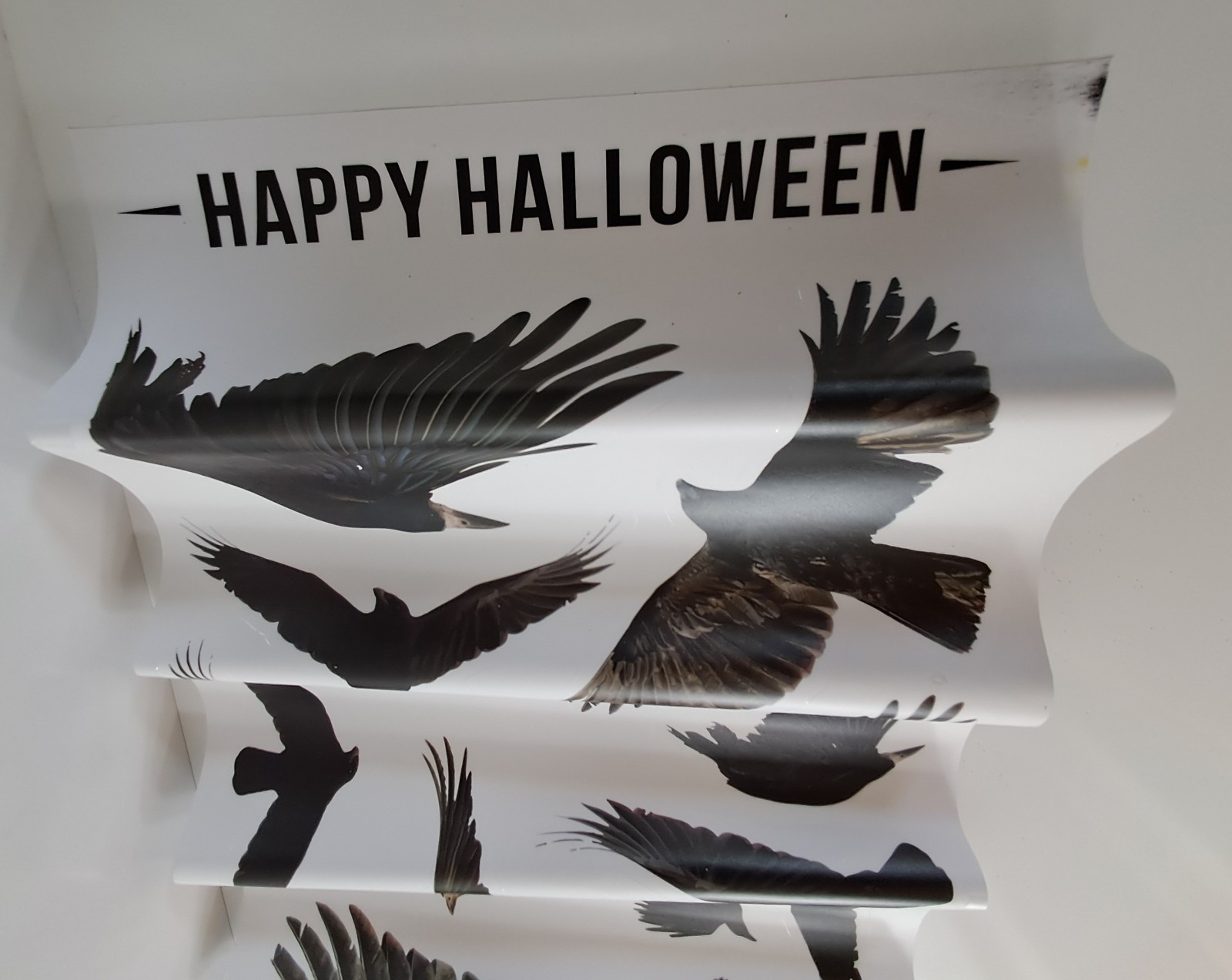 Happy Halloween Blackbirds Crows Wall Art Self-Adhesive Removable