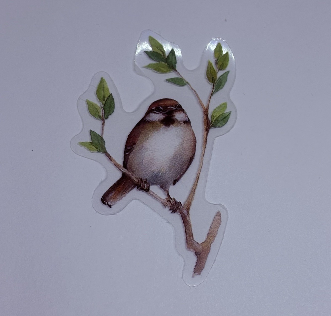 Eurasian Tree Sparrow Sticker Animal Art Transparent Journal Decal Vinyl Tc6