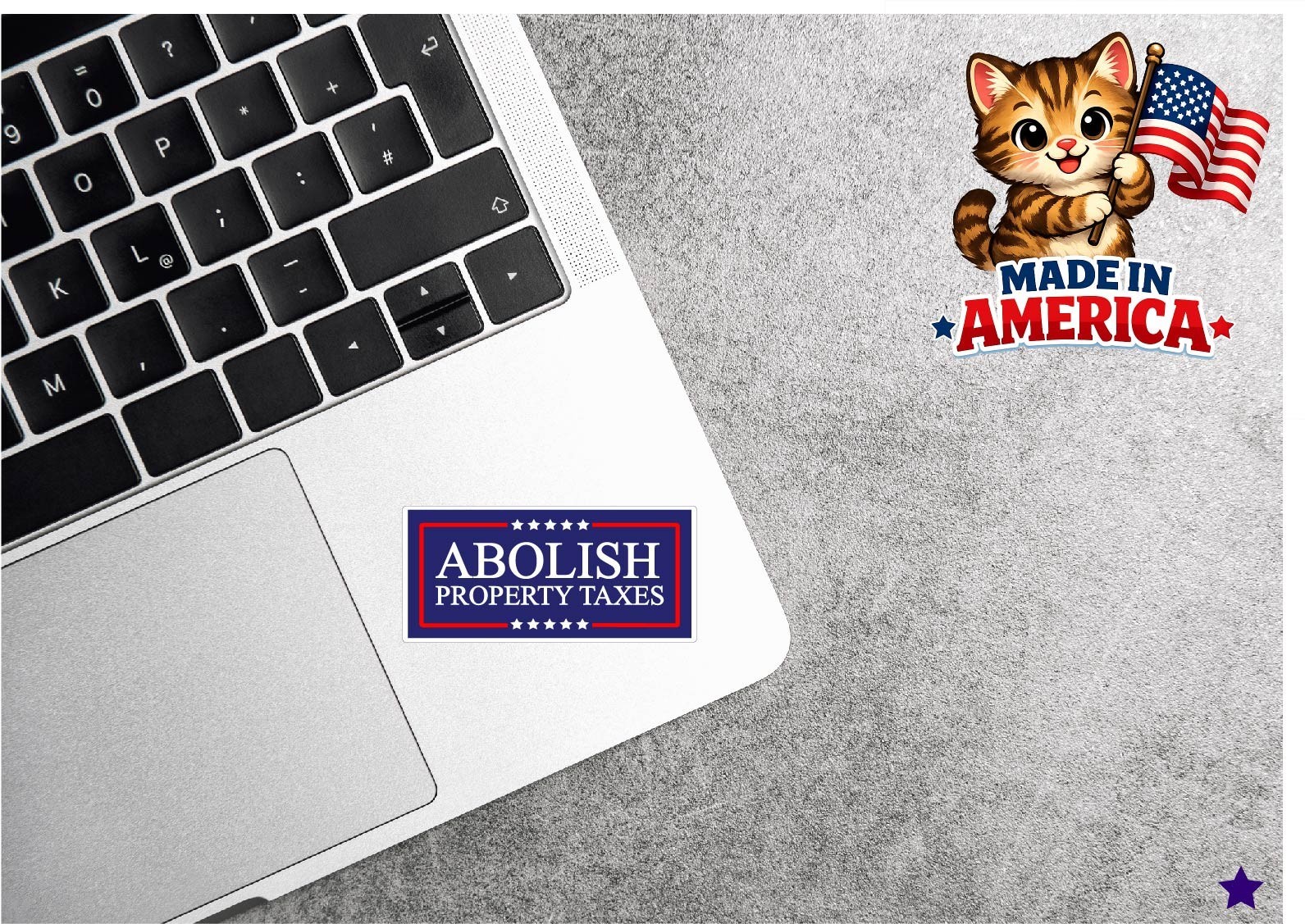 Abolish Property Taxes Decal Sticker State Govt Theft Stop Taxation Protest End