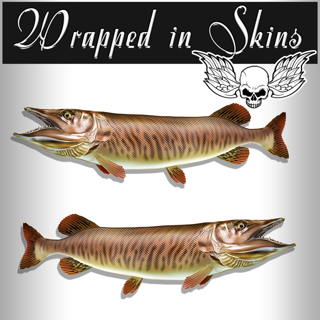 Tiger Musky Fish Stickers Fishing Decals – Indoor / Outdoor Stickers AFP-0088