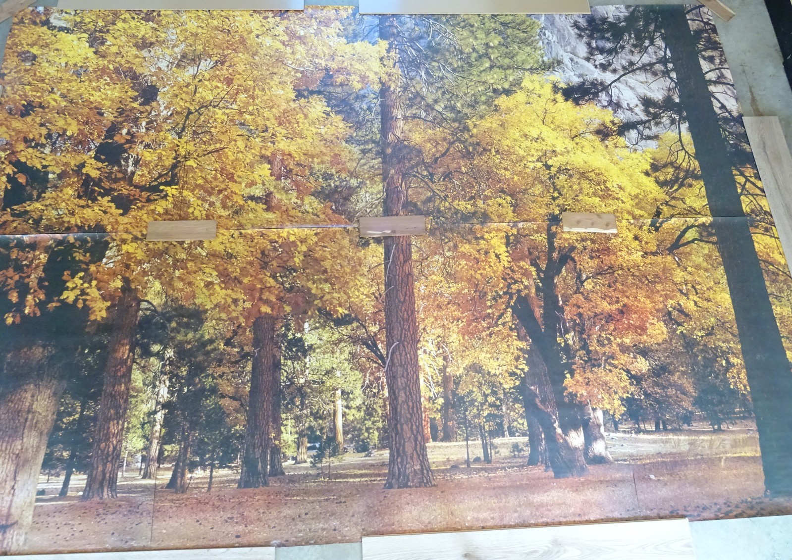 Full Wall Photo Mural Autumn Yosemite National Park Josef Muench 8’ 8” x 12’ 6”