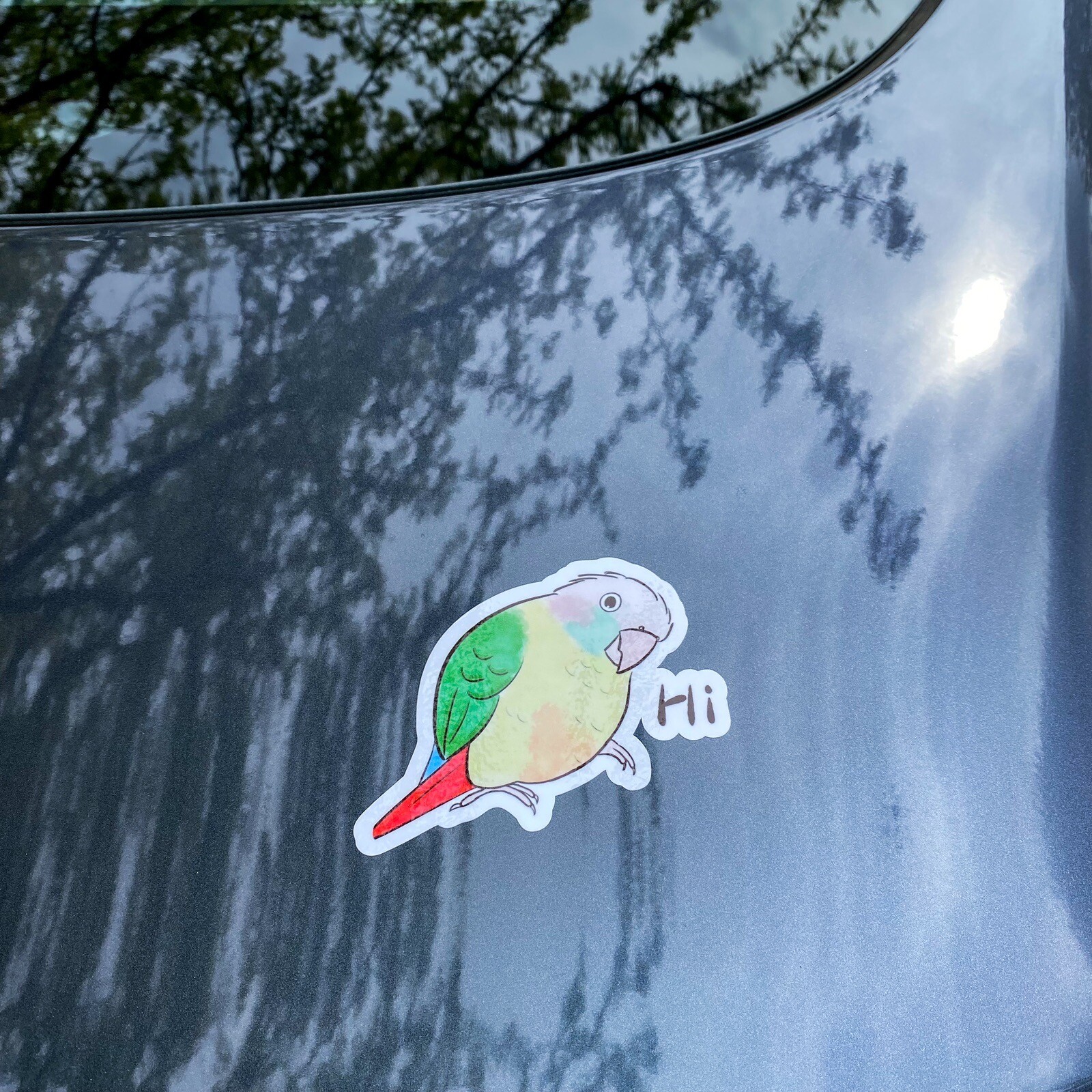 Green Cheek Conure CAR Stickers (cinnamon ) Outdoor use / UV & Water Proof