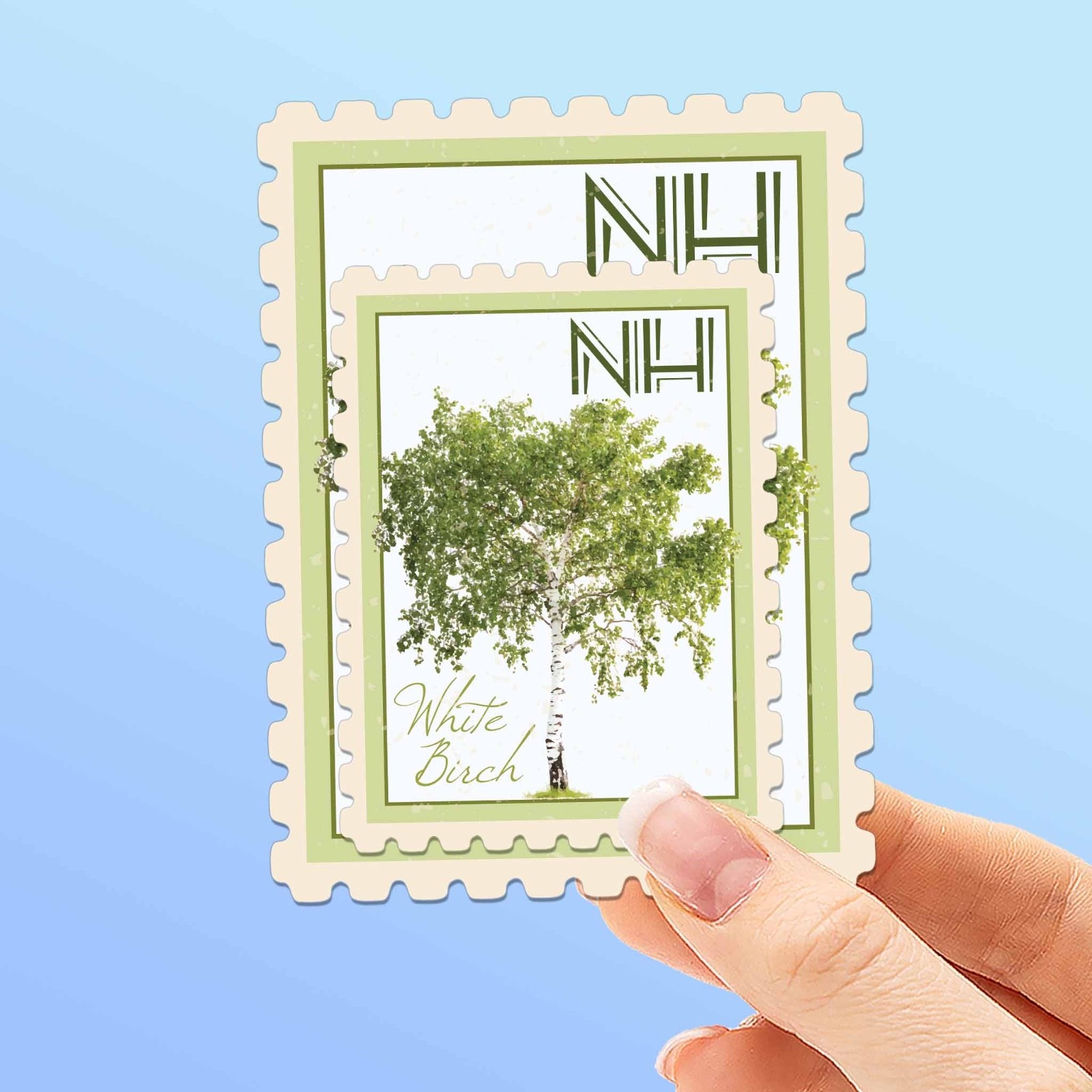 New Hampshire State Tree White Birch Sticker – NH Vintage Stamp Decal