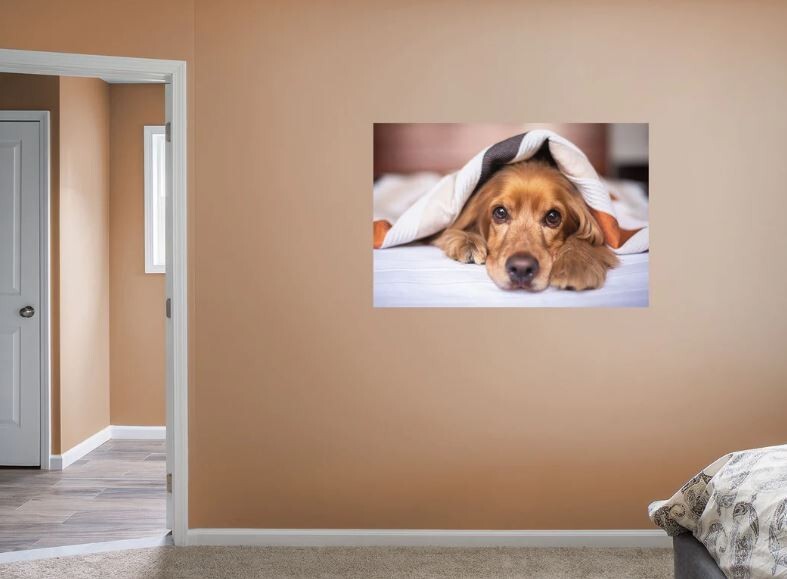 Custom Made Giant Sticker Pet People Face Images Vinyl Decal Sticker for Surface