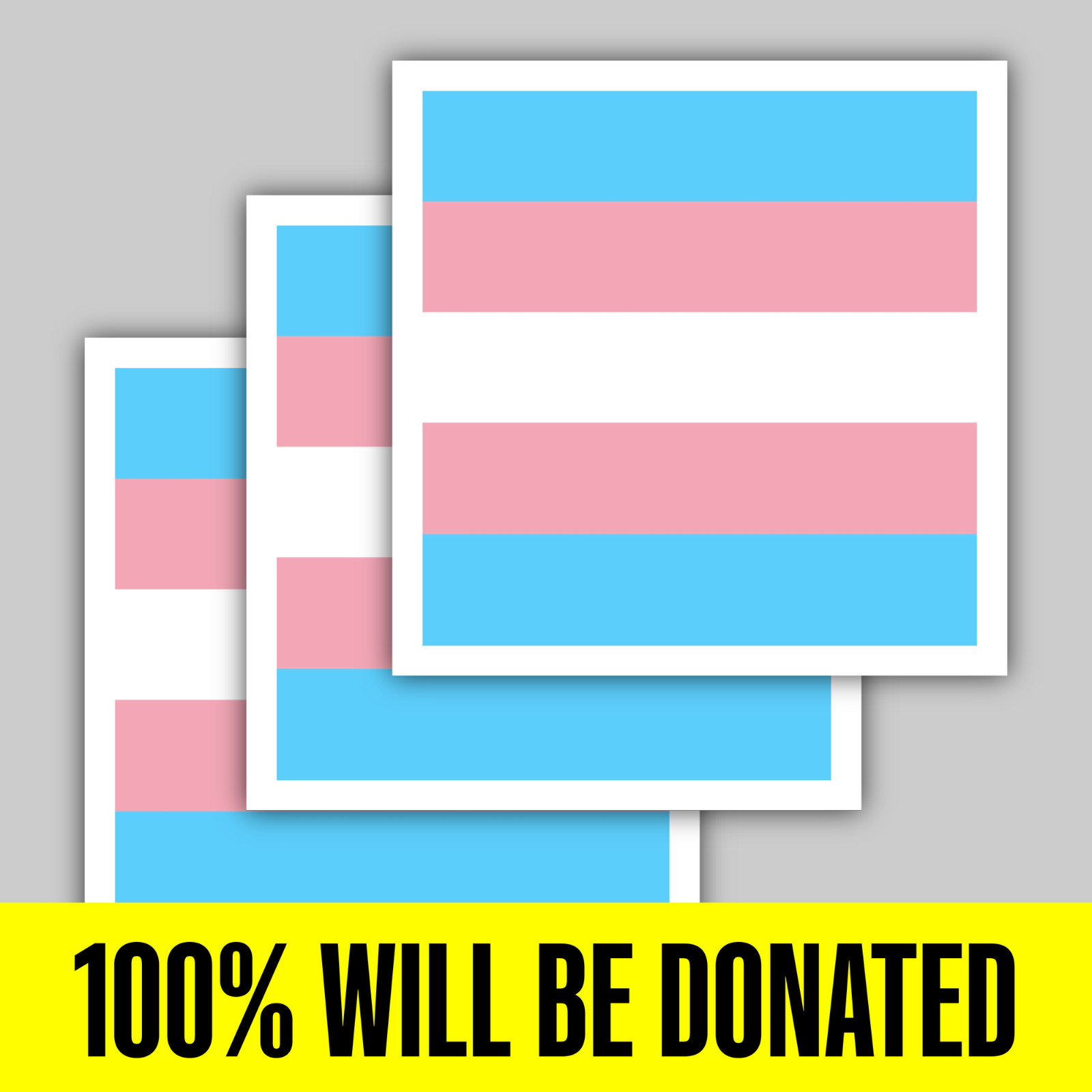 "TRANSGENDER PRIDE" FLAG 3 Sticker Pack (5 inches)