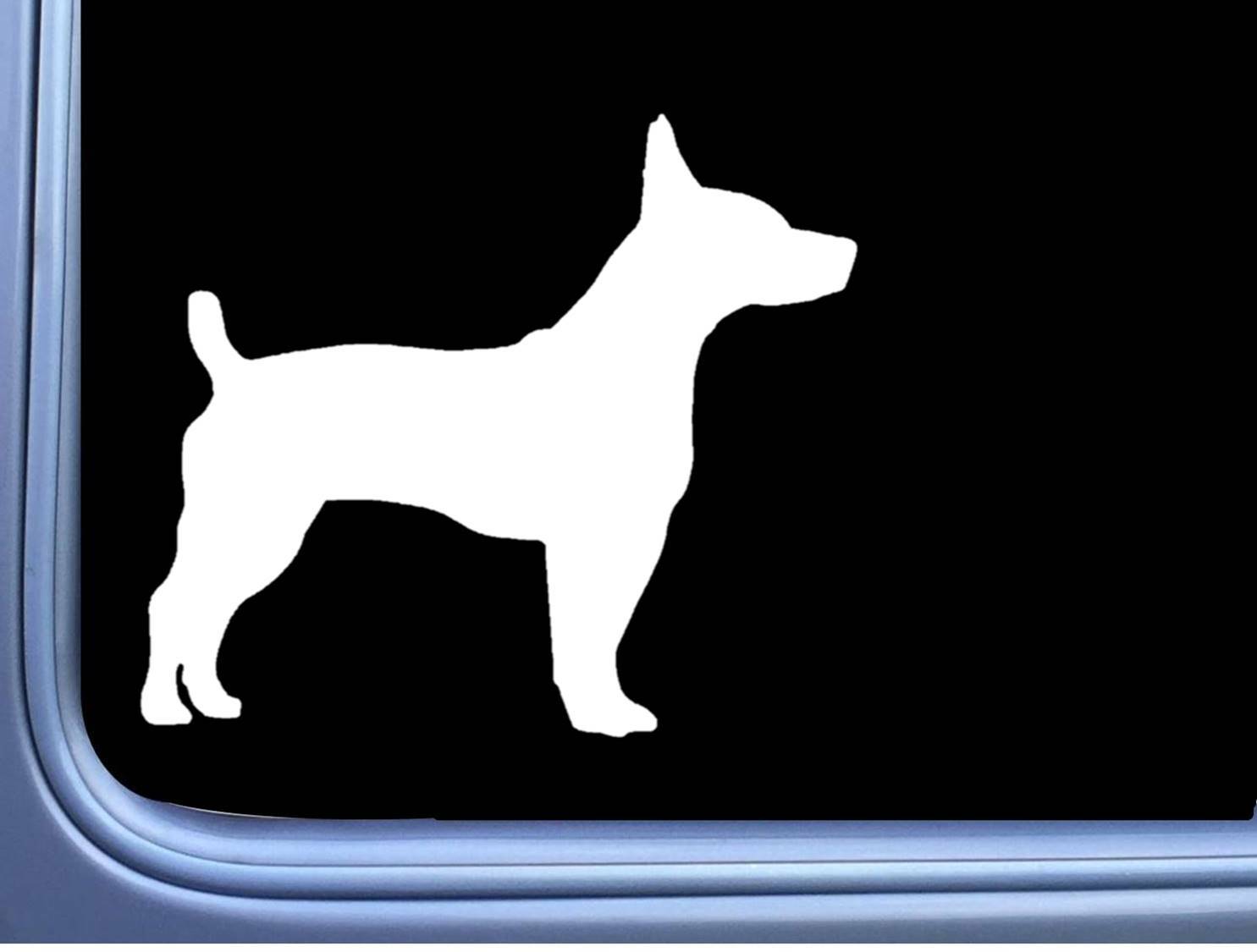 Teddy Roosevelt Terrier Decal Plain OS 064 Sticker Rat Terrier