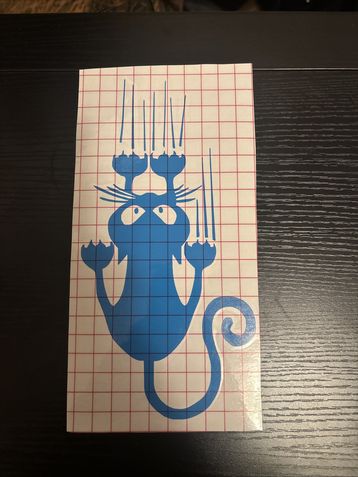 Crazy Cat Lady Sticker Vinyl Decal – Funny Family Love Figure Car Window Bumper