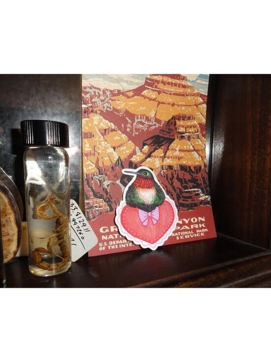 Hummingbird Sitting on a Heart w/ Bow Sticker unique handmade nature art