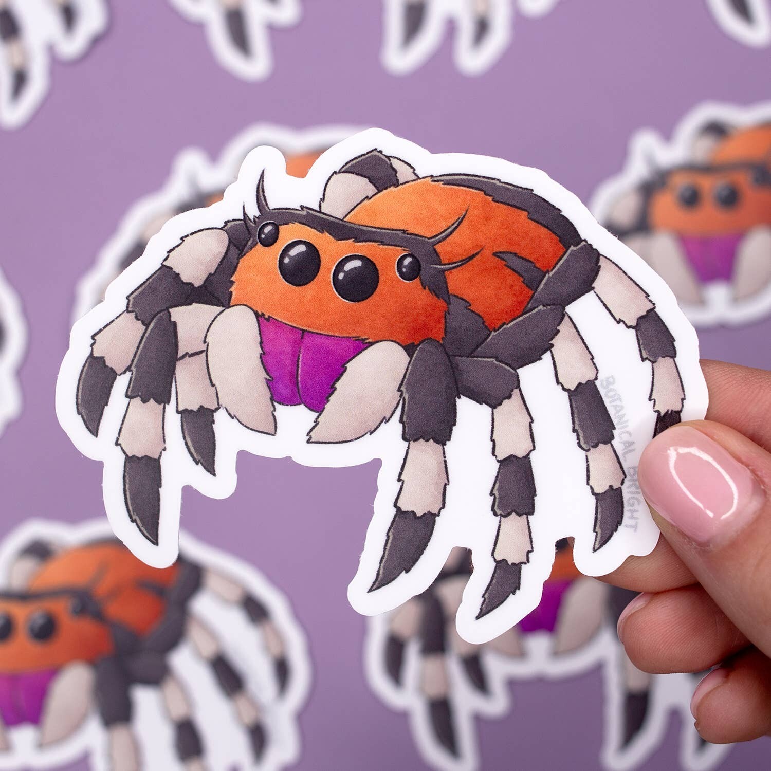 Jumping Spider Sticker – Waterproof Vinyl