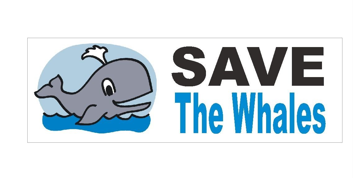 Save The Whales Bumper Sticker or Helmet Sticker D408 Animal Rights