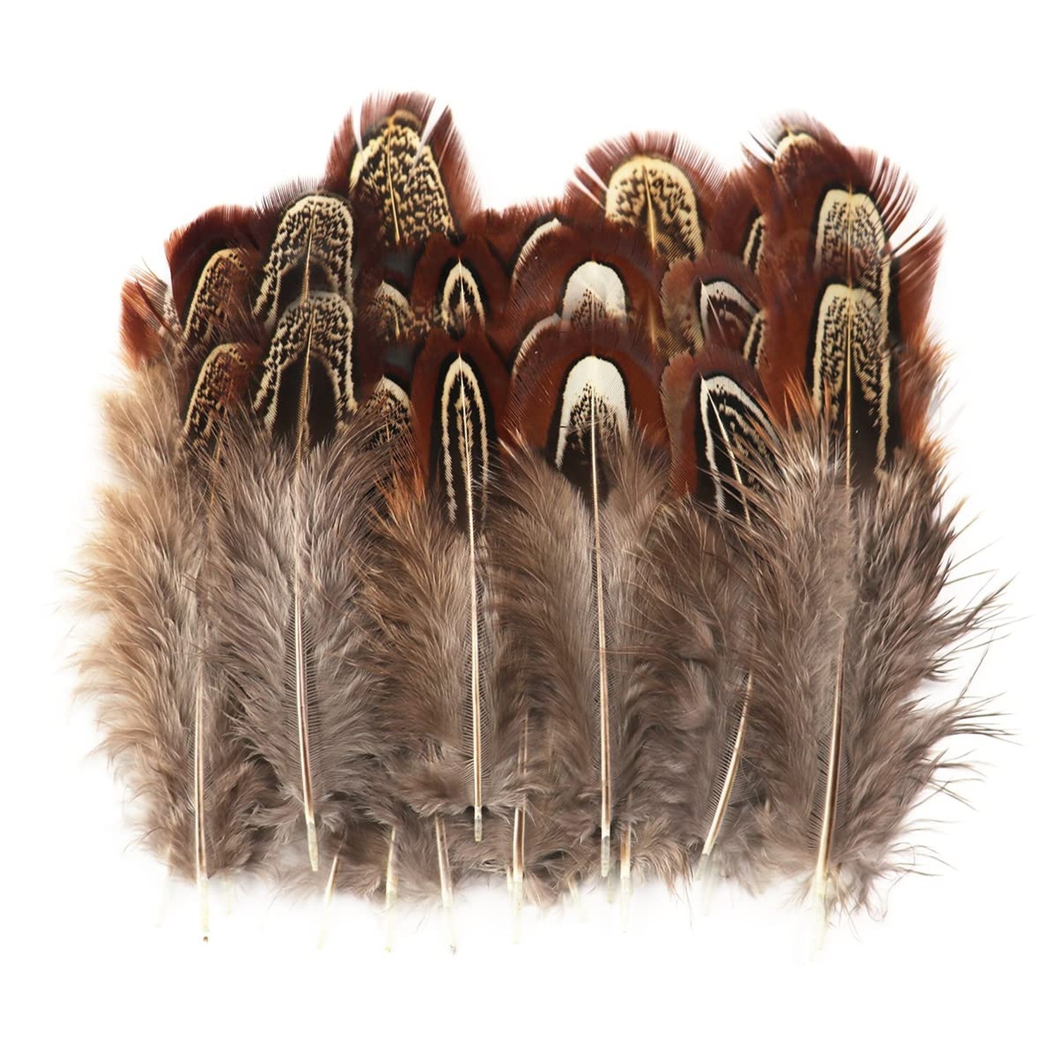 50 Pcs Natural Pheasant Feathers 2-3 Inches Plumage for Crafts Clothing Sewin…
