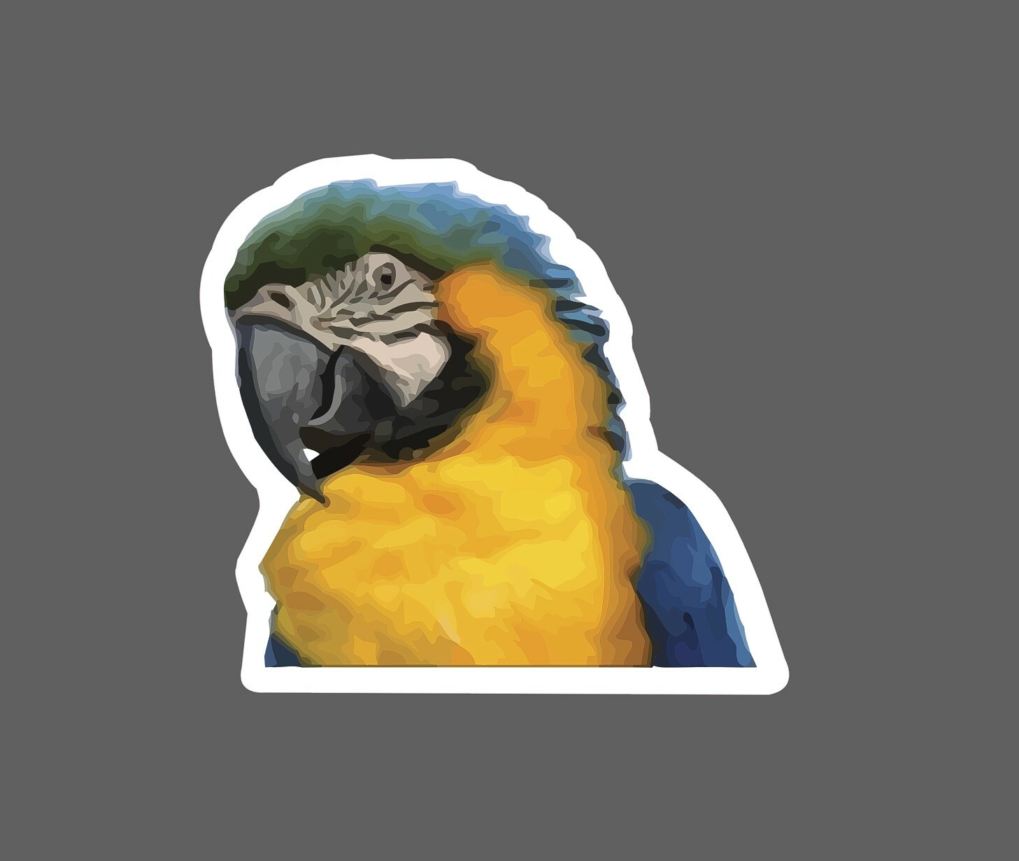Parrot Sticker Realistic Bird Waterproof – Buy Any 4 For $1.75 Each Storewide!