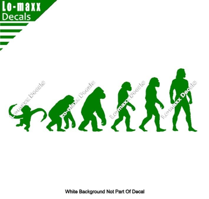 Evolution Of Barrel Of Monkeys Funny Ape To Man Vinyl Decal Sticker Art