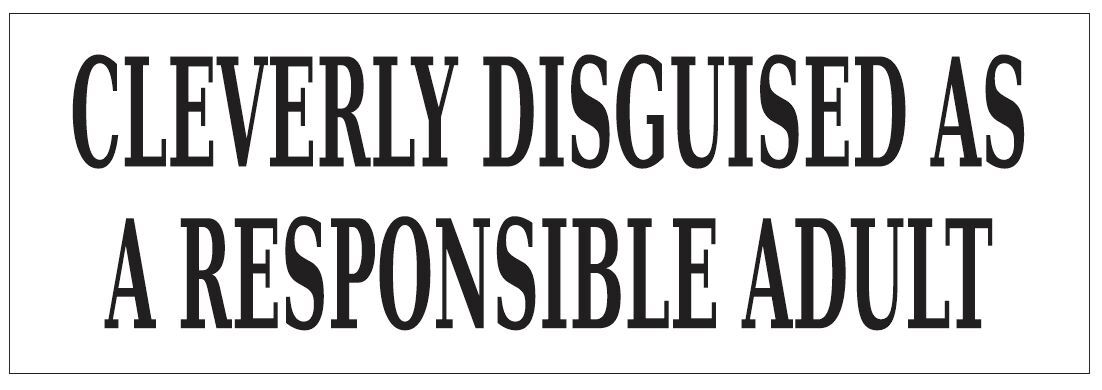 Cleverly Disguised As a Responsible Adult Bumper Sticker or Helmet FUNNY D7261