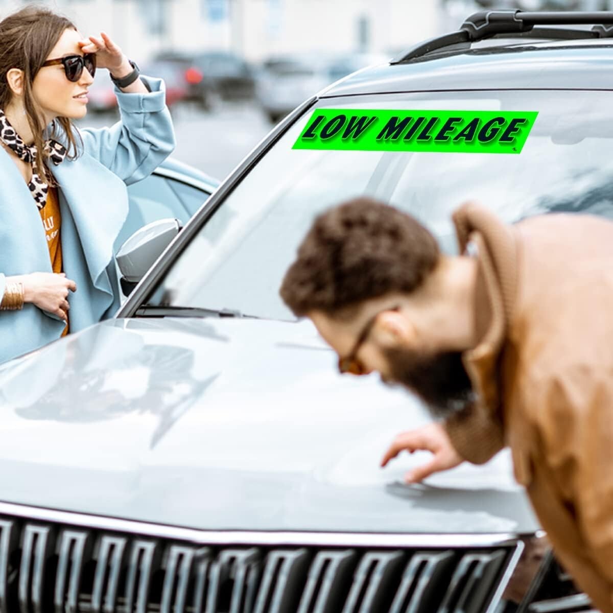 Versa Tags 12Pack of LOW MILEAGE Stickers Car Lot Windshield Slogan Decals