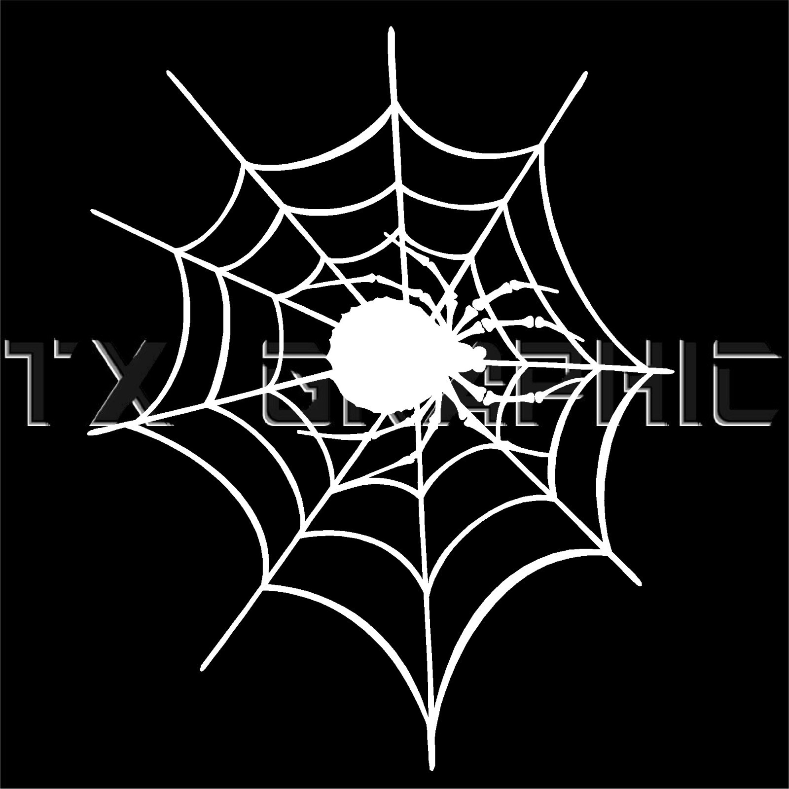 SPIDER ON SPIDER WEB VINYL DECAL FUNNY STICKER INSECT PINSTRIP WINDOW CAR
