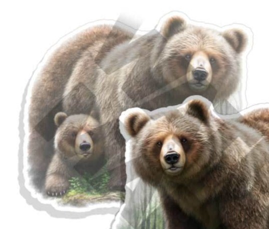 Mamma Bear and Cub Vinyl Stickers Decals NATURE Grizzly Outdoors C35004 2 Pk