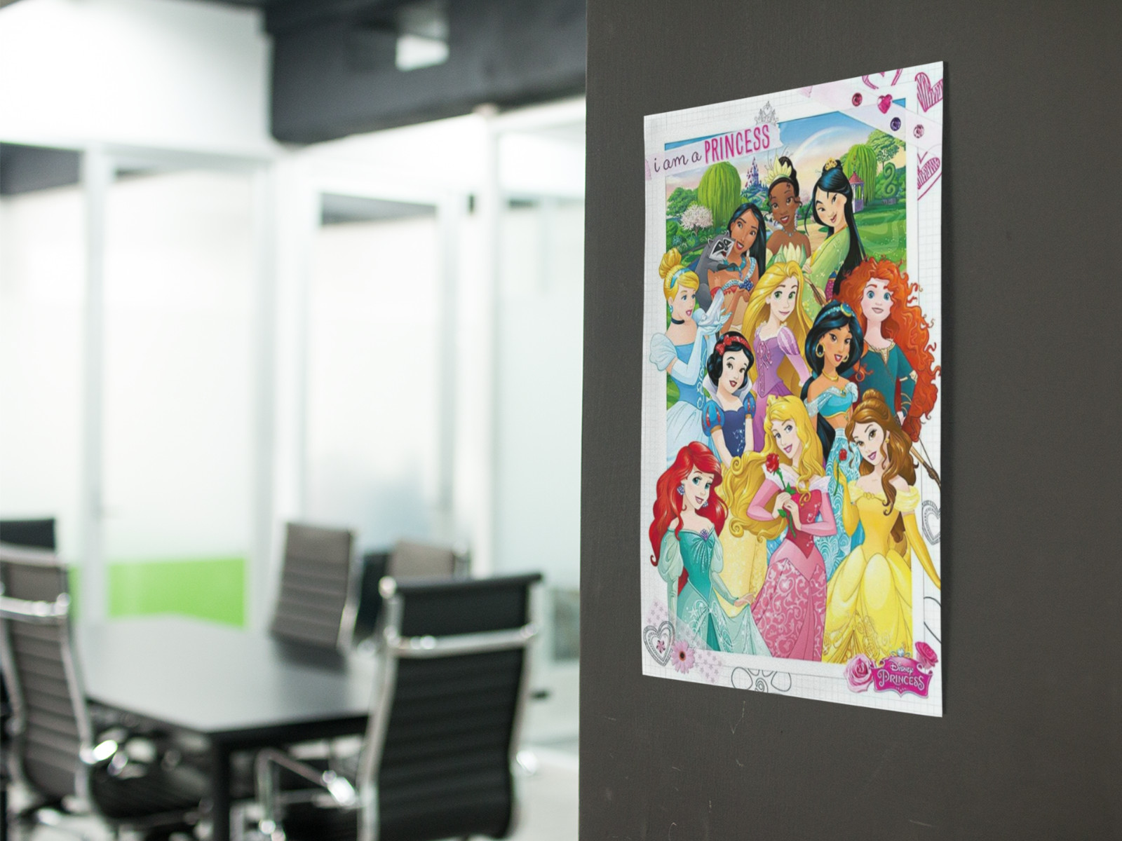 11 princesses Cartoon Graphic Wall Decal Poster Removable Adhesive Backing
