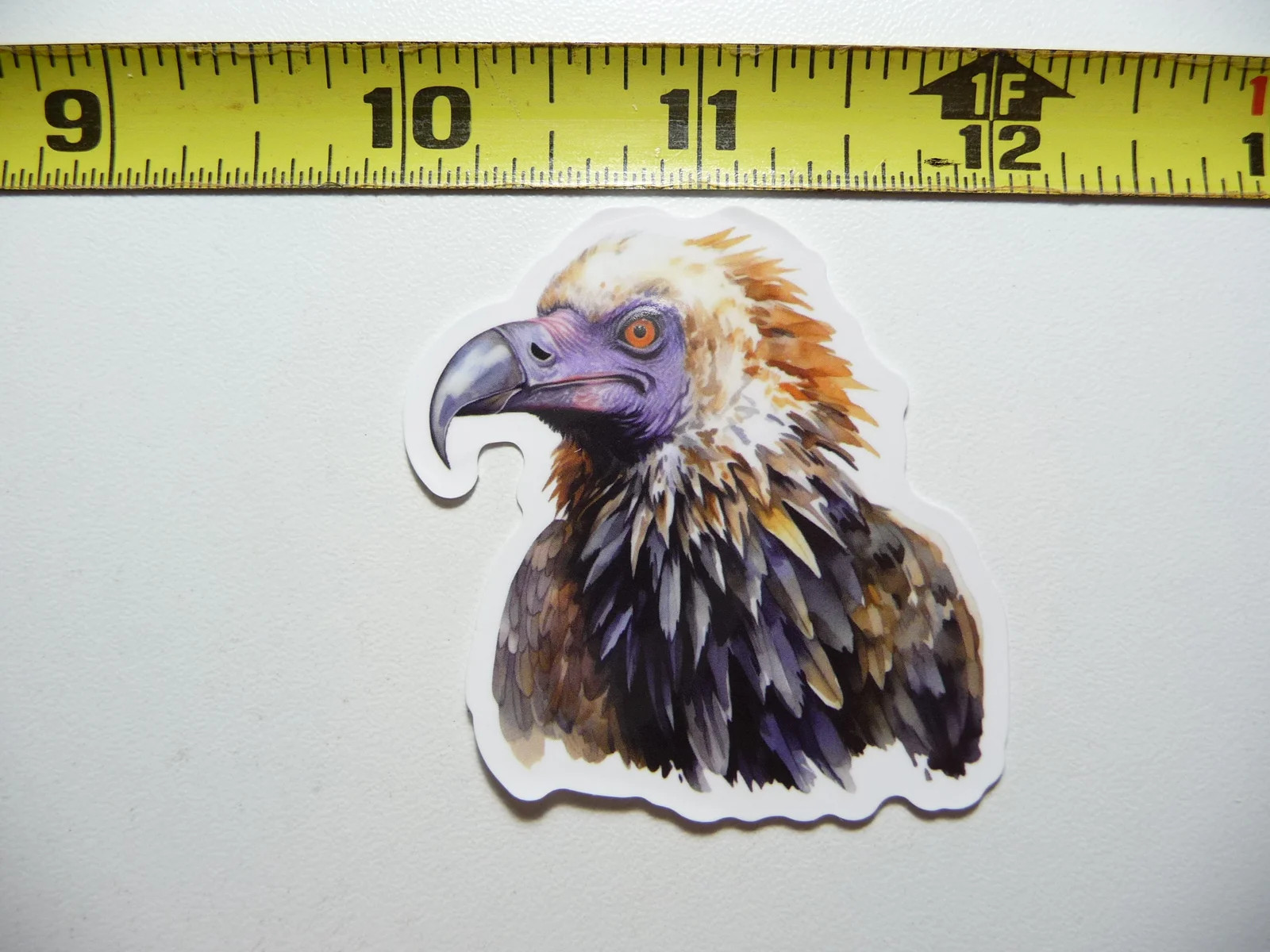 BEARDED VULTURE BONE BREAKER BIRD SMALL STICKER DECAL WILDLIFE PRESERVE NATURE